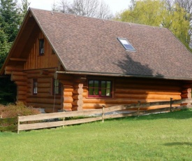 Cozy Cabin in Waltershausen near Forest