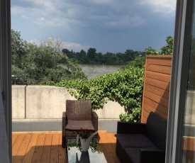 Apartment 'Rheinblick' mit grosser Terrasse