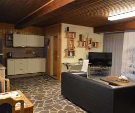 Cozy Apartment in County of Manderscheid with TV
