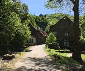 Wildburgmühle