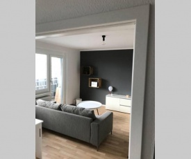 Designer Wohnung in Dresden