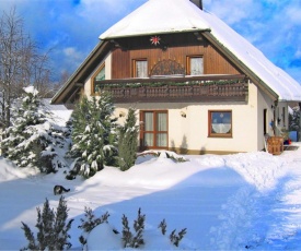 Beautiful Apartment in Pohla Saxony near Ski Area