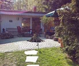 Holiday home in the beautiful Harz region with wood stove, large terrace, barbecue and fire pit